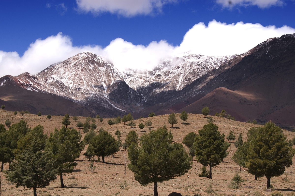 High Atlas Challenge