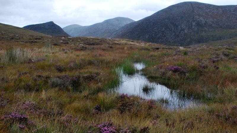 The school group was in an isolated area of the Mourne Mountains (Pic: Willie Carville)