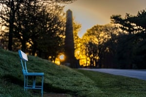 Phoenix Park, Dublin (Pic: Philip Mulhall)