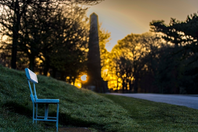 Phoenix Park, Dublin (Pic: Philip Mulhall)