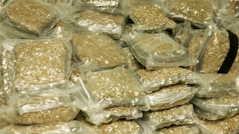 Cannabis remains the most seized drug in Europe