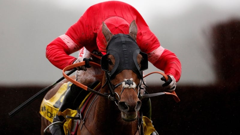 Silviniaco Conti will line up against half-brother Ucello Conti in the Aintree Grand National this Saturday