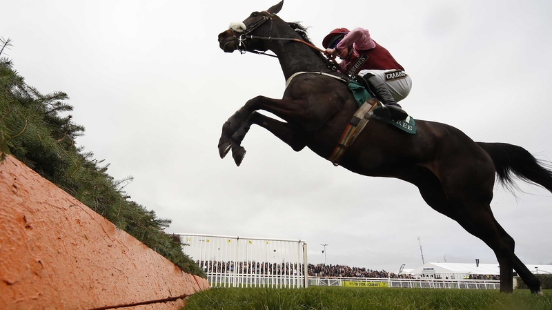 Arzal put in an impeccable round of jumping to take Grade One honour