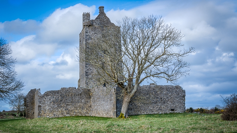 Fadein Castle, Co Galway (pic: Larry Morgan)