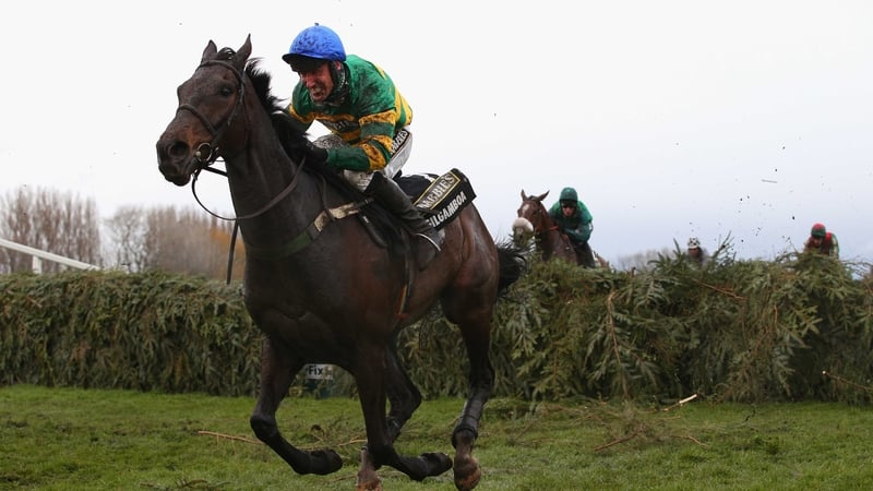 Gilgamboa ridden by Robbie Power clears the last fence