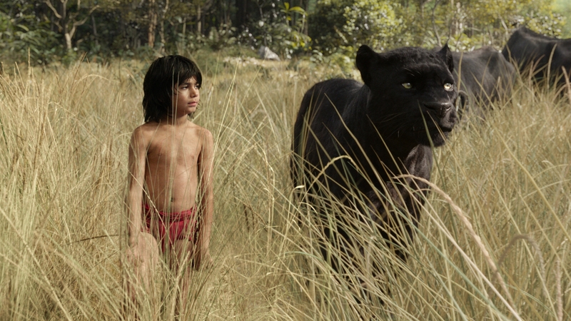 Ben Kingsley praises Neel Sethi's "technically amazing' Jungle Book performance