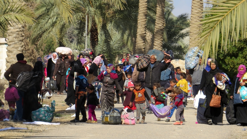 Displaced Iraqis from Fallujah arrive in Ramadi in February