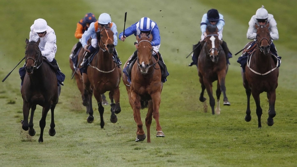 Ibn Malik (blue silks) impressed in the European Free Handicap