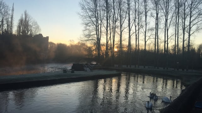 A misty morning in Milford, Co Carlow (Pic: Catriona Brennan)