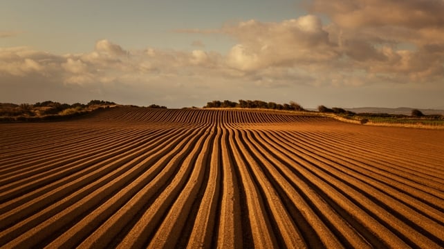 Gormanston Fields (Pic: Tony Mullen)