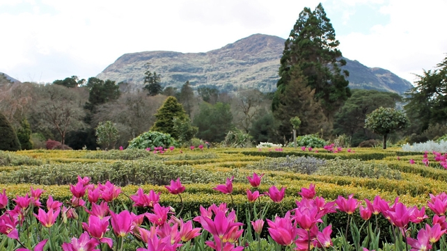 Muckross gardens, Co Kerry (Pic: Debora Tobin)