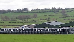 'Bale mary full of grass' - near Ballykeeran , Athlone, Co Westmeath (Pic: Teresa Clyne)