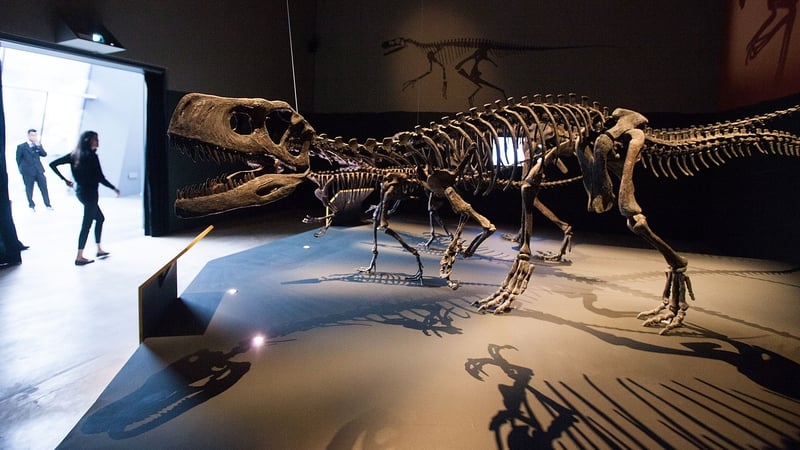 T-Rex was among the species wiped out during the Cretaceous extinction 66 million years ago
