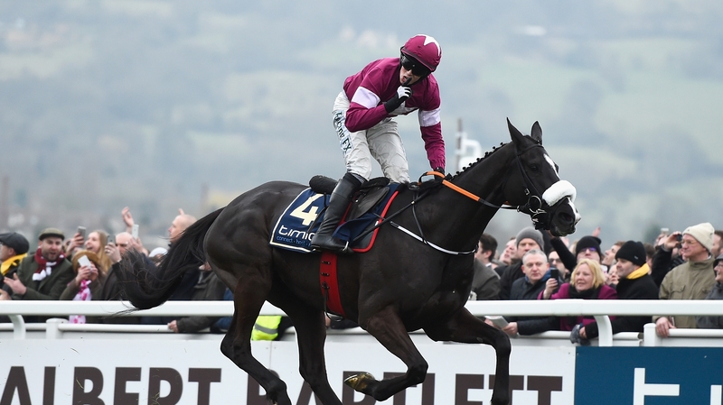 Don Cossack's finest hour came in last year's Cheltenham Gold Cup