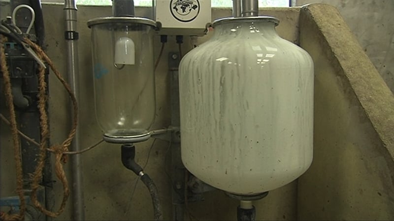 Carbery is owned by four Irish co-operatives - Bandon, Barryroe, Drinagh and Lisavaird