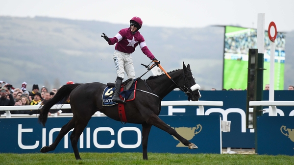 Cheltenham Gold Cup hero Don Cossack