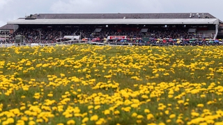 A view of the main stand at Punchestown