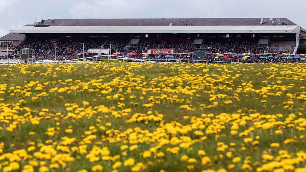 A view of the main stand at Punchestown