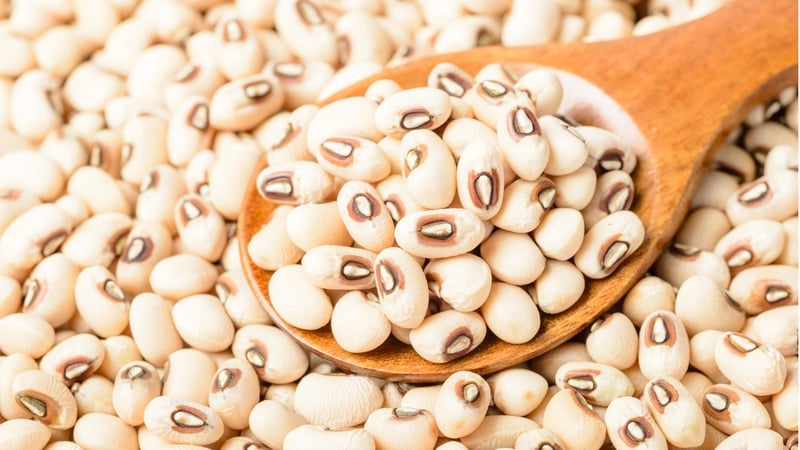 You can make a very tasty vegetarian meal with these beans