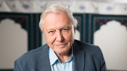 David Attenborough said he was honoured by the decision