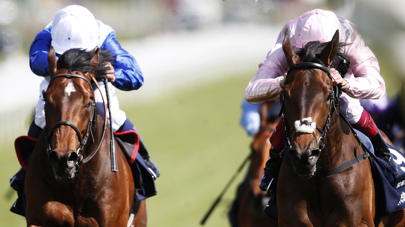 Humphrey Bogart (L) could go for the Epsom Derby