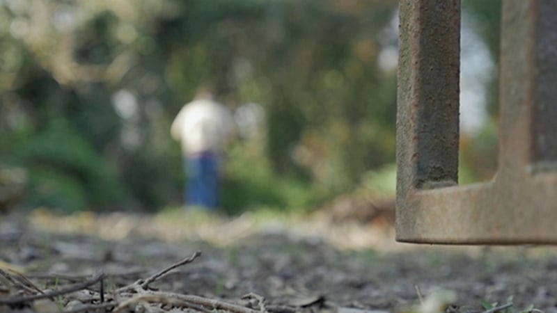 There were 27 alleged offences linked to ageism and abuse of people with disabilities