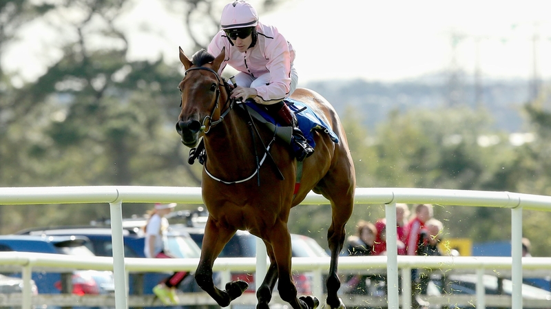 Now Or Never (file pic)