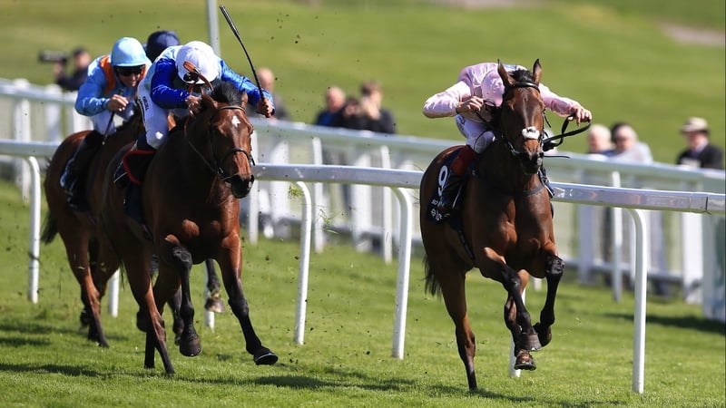 So Mi Dar (cross-noseband) beats the boys in the Investec Derby Trial at Epsom