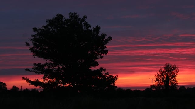Athleague, Co Roscommon (Elaine Grehan)