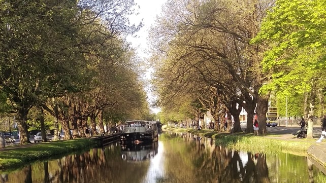 Grand Canal at Mespil Rd, Dublin (Erica Kinsella)