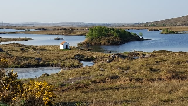 Lough Aughawoolia, Galway (Neil Bhogal)