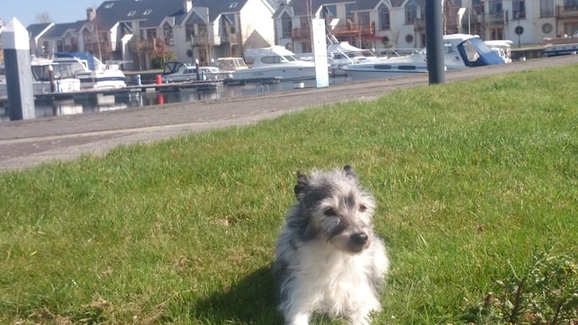 Tarmonbarry (JJ Murtagh)