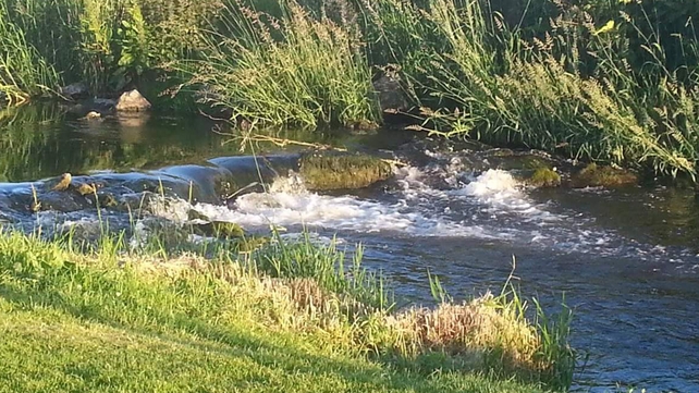 Longford (Dave Kenny)