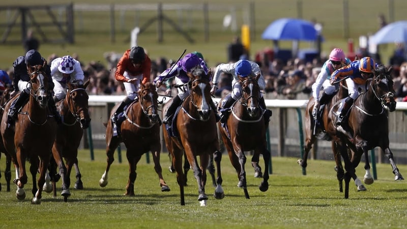 Alice Springs (navy silks) has yet to win at Group level but has run a series of good races in defeat