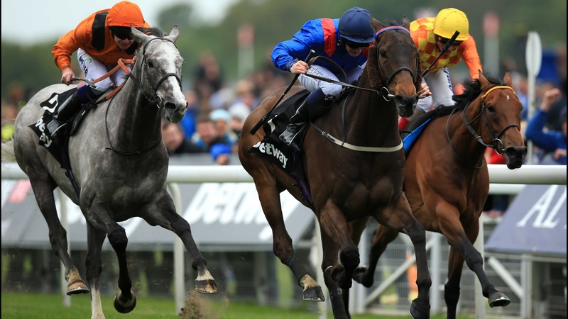 Clever Cookie (blue silks) gets the better of his rivals on the Knavesmire