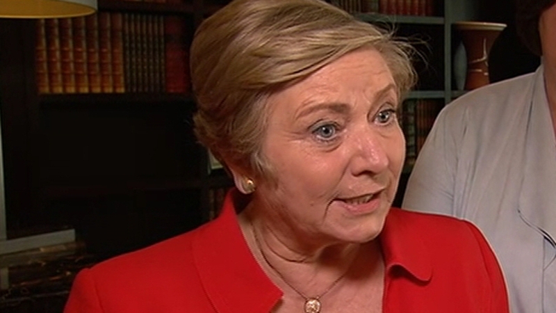 The minister said 'every action is being taken' by both Irish and Spanish authorities to find the perpetrators