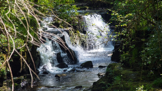 Clare Glens, Co Tipperary (Denis Hickey)