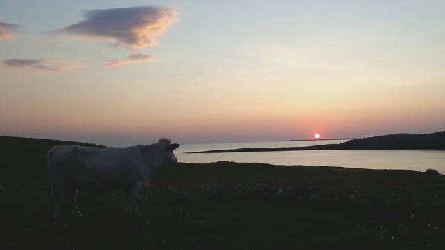 Streedagh Beach, Co Sligo (John Bruen)