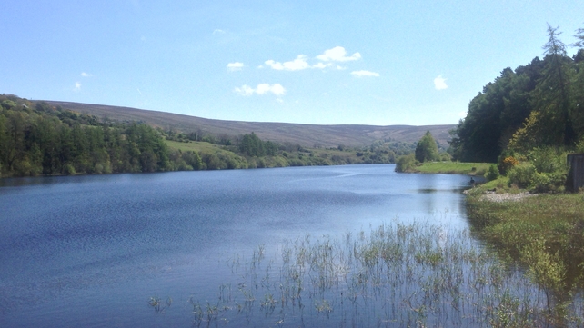 Glenasmole Valley, Dublin (Eric Clarke)