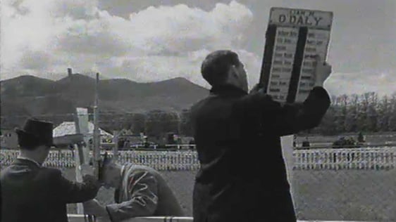 Killarney Races 1966