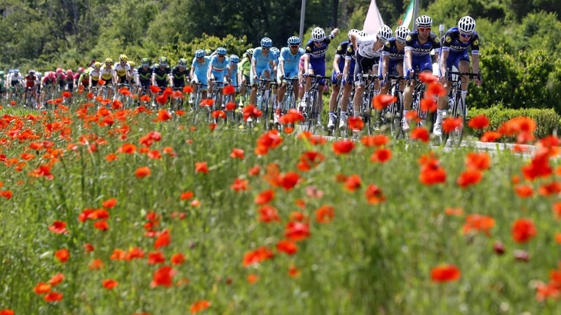 A view of the peleton on stage ten