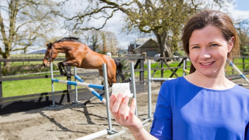 The material was used on Beyonce, a 16-month-old thoroughbred filly