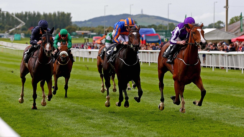Minding (R) winning the Moyglare Stud Stakes at the Curragh last year