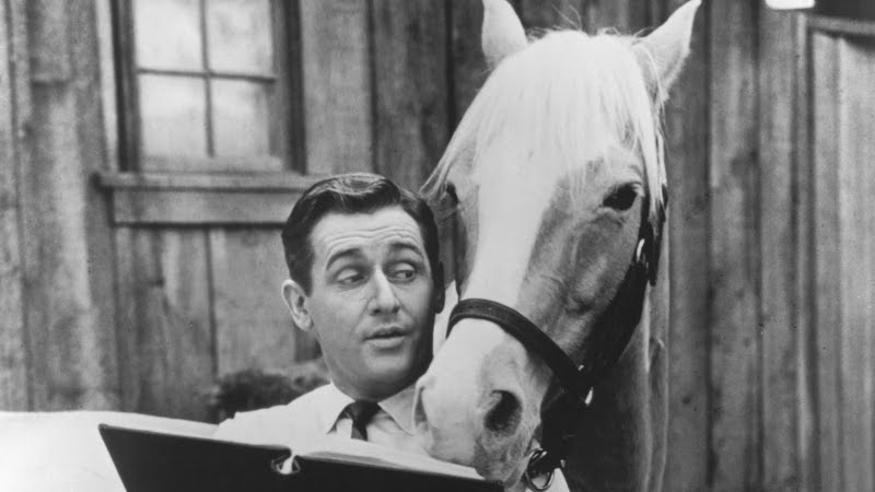 Look who's talking - Alan Young, who played the talking horse's pal Wilbur Post has died, aged 96