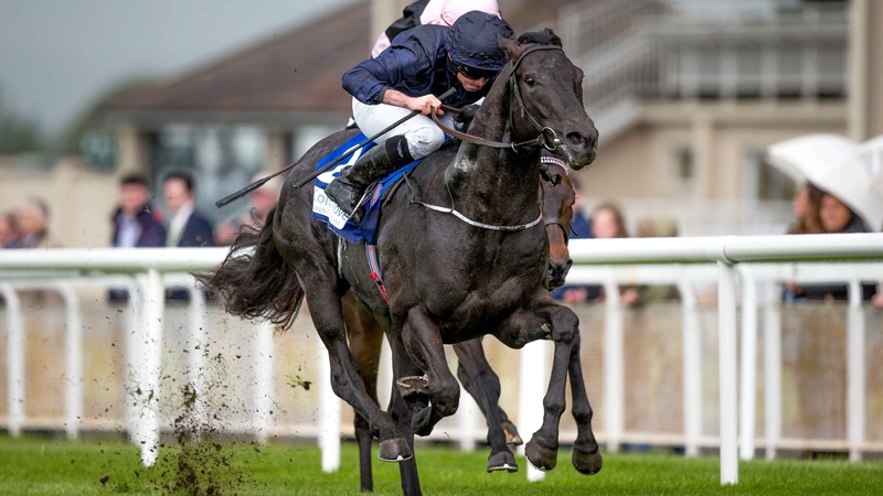 Caravaggio is 3-1 from 8-1 for the Coventry Stakes