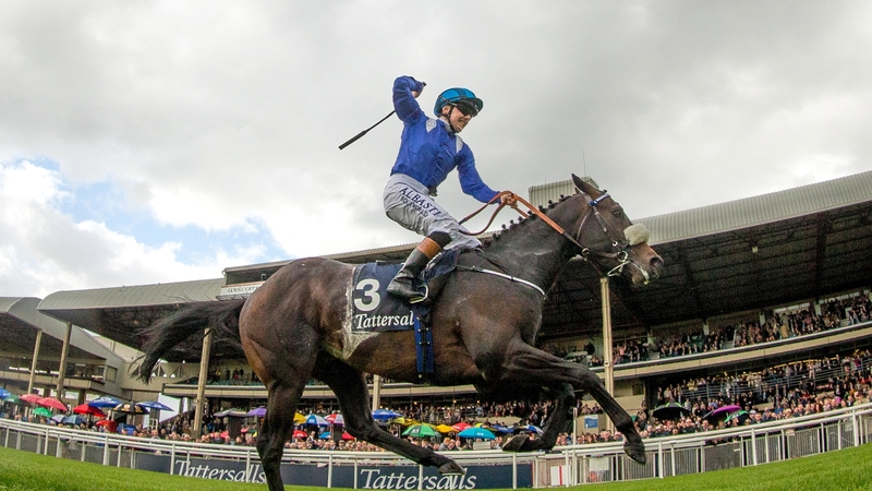 Chris Hayes celebrates the long-awaited win for Kevin Prendergast