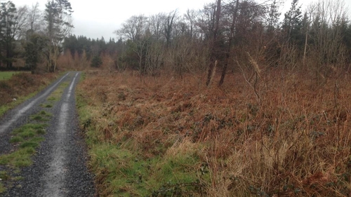 Planning for the single-storey development outside Athenry was granted by Galway County Council last September