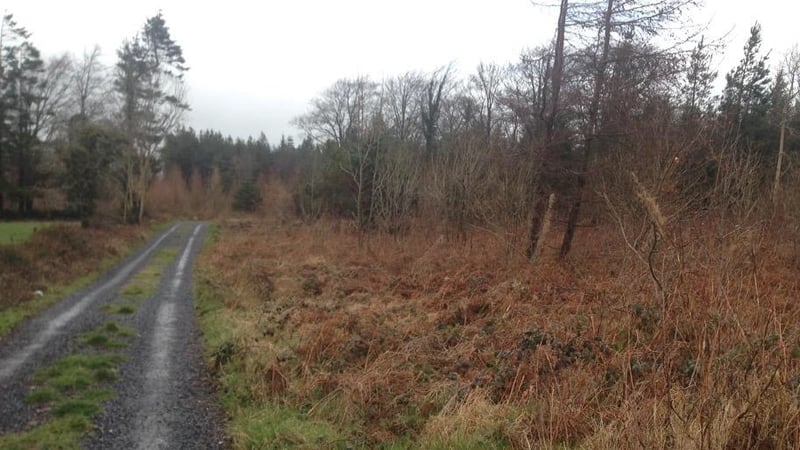 The facility will be built on a greenfield site at Derrydonnell