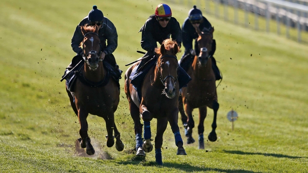 Wings Of Desire saunters away from his work companions