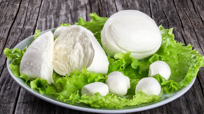 Delicious mozzarella
